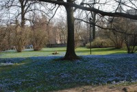 /album/polsko-2/dsc-0374-small-jpg/